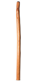 Natural Finish Didgeridoo (TW1803)
